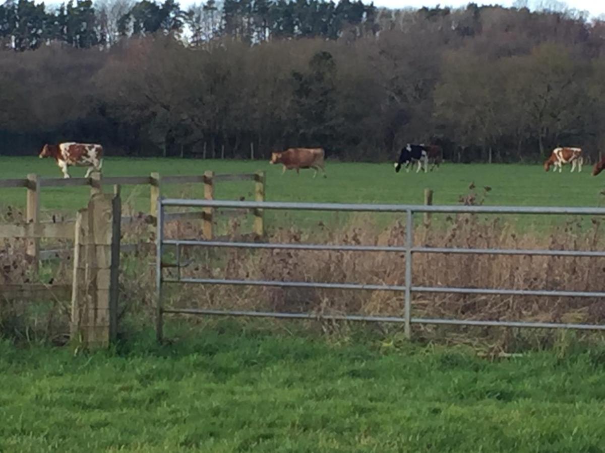 Swallows Retreat Fordingbridge Εξωτερικό φωτογραφία